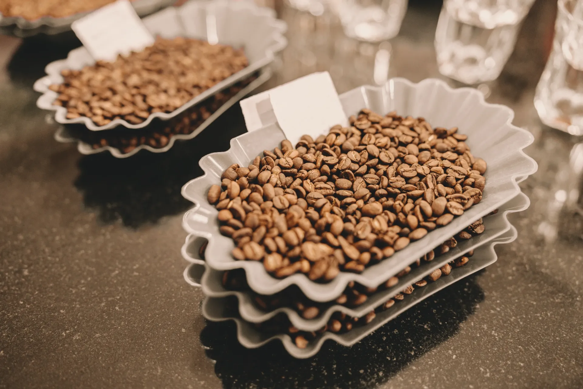 Coffee prepared for scoring and comparison.