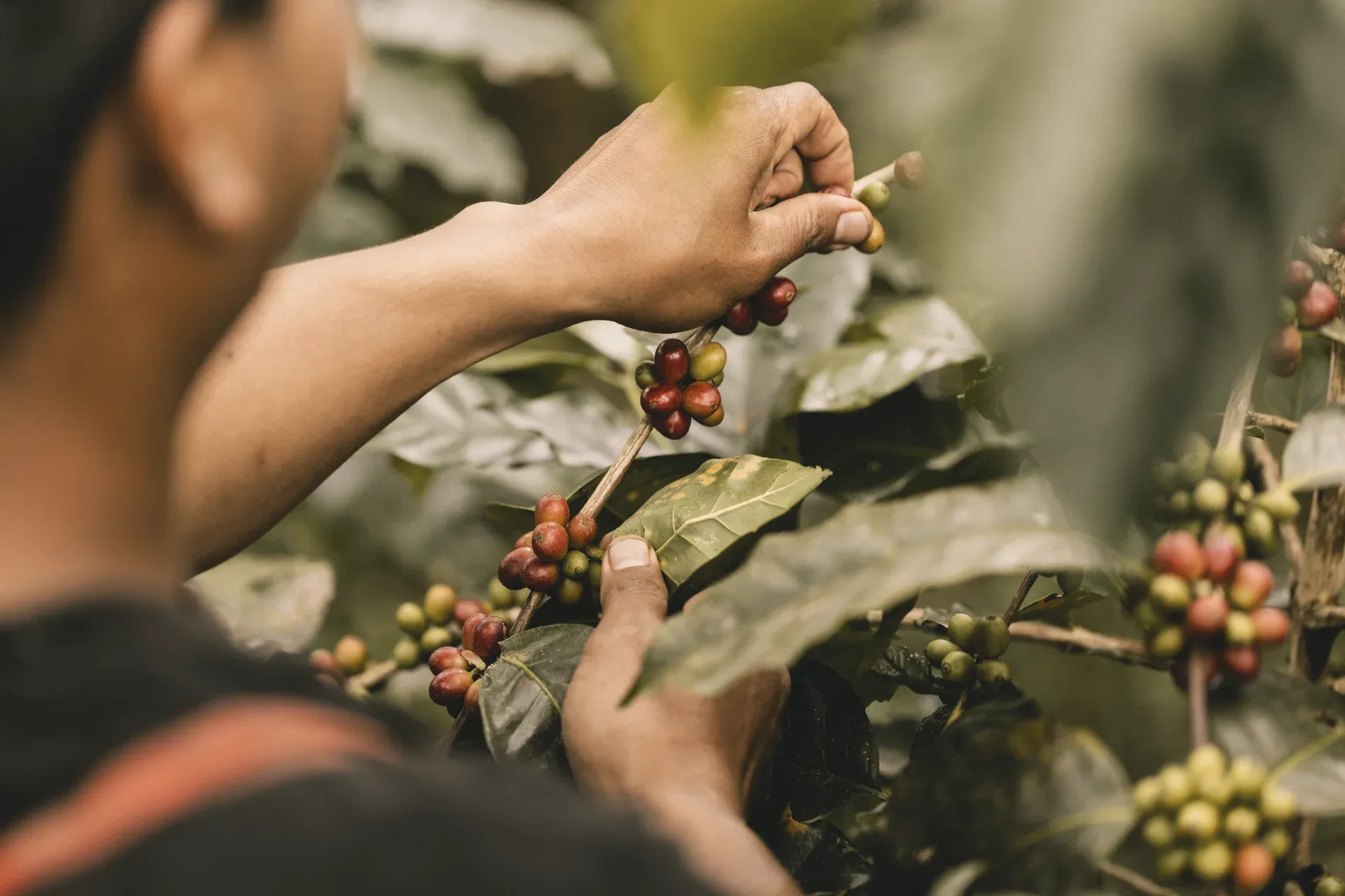 The Freedom to Leave Is Also Dignity